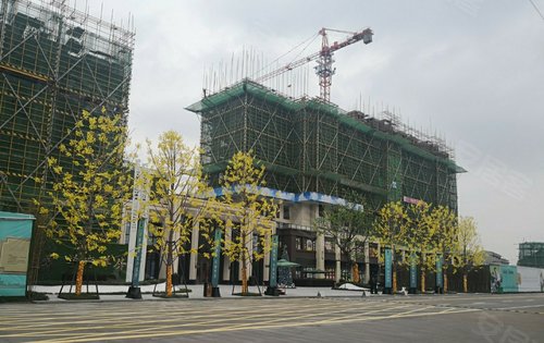 碧桂园云邸华府