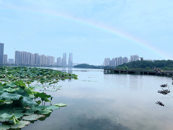 卓越浅水湾,长沙卓越浅水湾房价,楼盘户型,周边配套,交通地图,近湖七