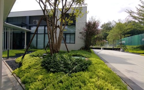 乐平碧桂园四季峰景小区内园林绿化