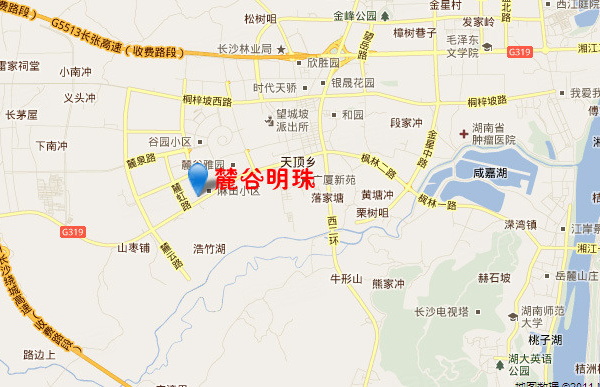 麓谷明珠,长沙麓谷明珠房价,楼盘户型,周边配套,交通地图,麓谷大道与