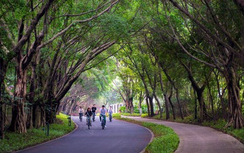 广佛新世界实景图-都市生态小城