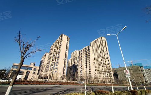 青特金茂·中欧国际城|滨江悦动态:交付小区实景-青岛安居客