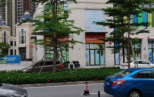 小区一期门口有卡萨王国华润万家超市肯德基已经进驻了