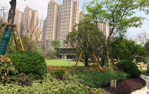 阳光城尚东湾.绿草如茵,鸟语花香.
