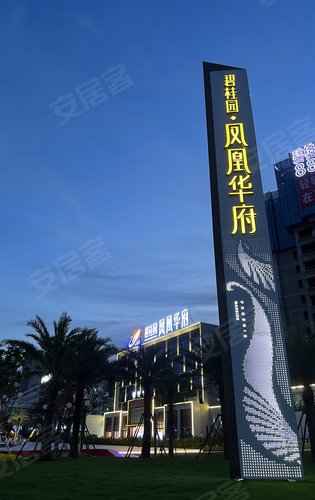 凤凰华府晚间随拍家楼下就是公园好项目好产品从来不缺人气强
