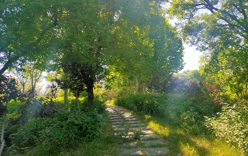 炎热的夏季,在浅山香邑的林荫小道上漫无目的的走走,心情舒爽