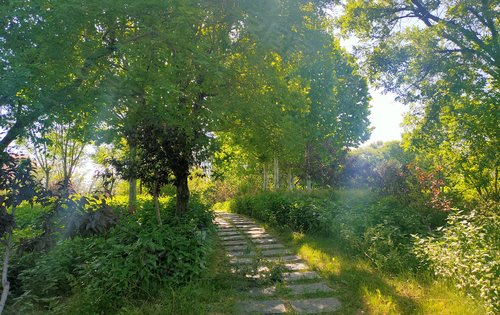 炎热的夏季,在浅山香邑的林荫小道上漫无目的的走走,心情舒爽