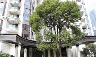 华山夏都苑和华发仁恒苏河世纪哪个好