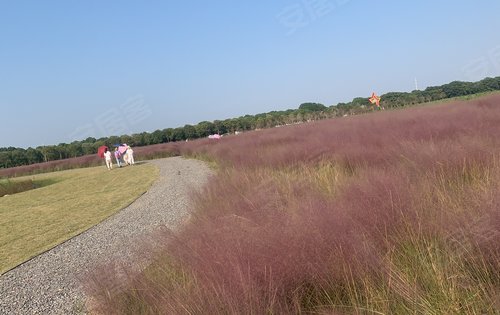 万科四季都会动态:宛山湖的风景就是不错-无锡安居客