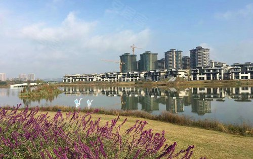 成都楼盘 新都楼盘 蜀龙路楼盘 保利湖心岛四期美湖苑 楼盘动态
