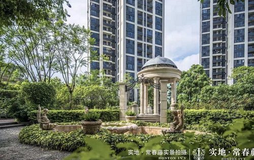 实地常春藤外景图片,优惠多多