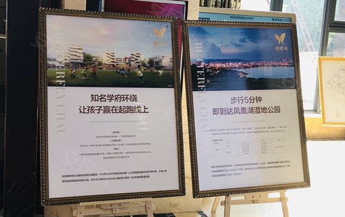 蝴蝶洲售楼部现场区域图展板已换新,欢迎参观