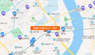 君邑地中海和杨浦区定海社区d51地块哪个好