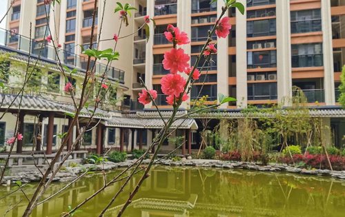 万锦江南动态:再来感受泰安地产江南园林-汕头安居客