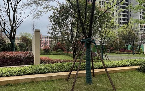 湖山赋高层小区园林景观点我头像咨询高层活动