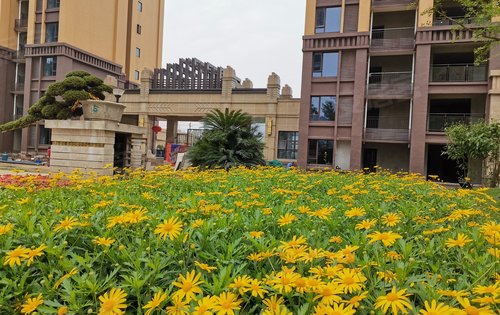 【巴沃松山公馆 气清景明,繁花大开 家在景中,景在家中 九重园林 建