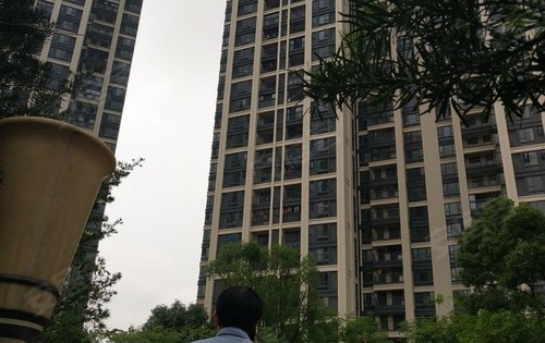 实地常春藤,小区环境,欢迎咨询!