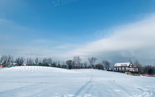 弗农小镇2021初次雪