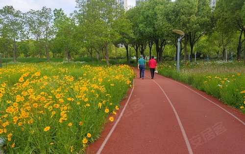 湖畔天下瑞泷家门口留云公园漫步跑道留云公园景色美景