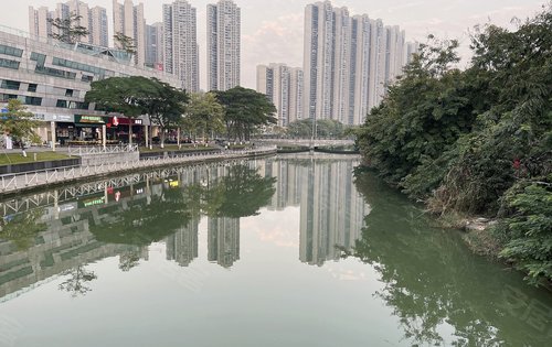 飞鸟白鸽清风繁茂的绿植亚运城莲花湾中心湖实拍宜居生活尽在亚运城