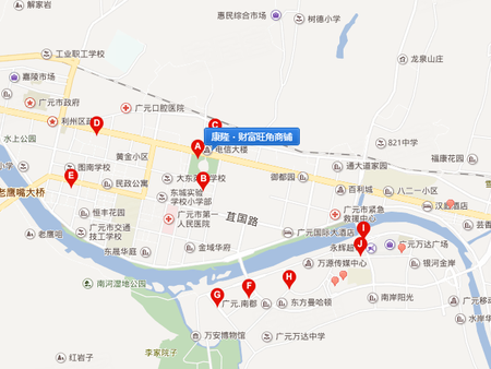广元楼盘 利州区楼盘 康隆·财富旺角.