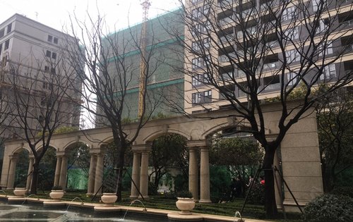 浦西玫瑰园展示区美景