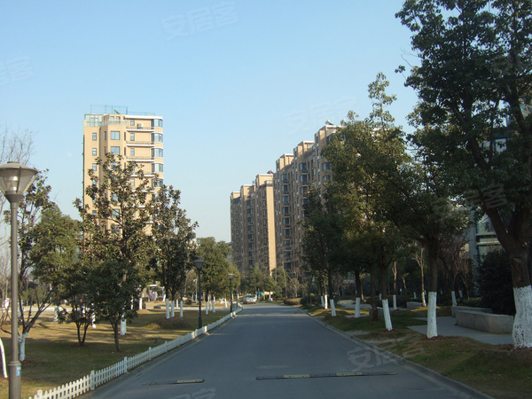 阅城国际花园,南京阅城国际花园房价,楼盘户型,周边