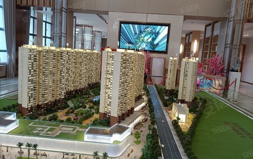 湛江楼盘 雷州楼盘 雷州楼盘 金悦华府 楼盘动态