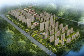 碧桂园大学印象