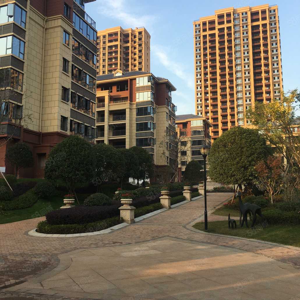 陈俊伟联系电话_置业顾问销售陈俊伟发布的盛世金龙湾楼盘动态-58同城