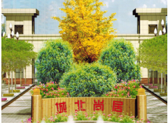 勉县勉县国泰城北尚居楼盘新房真实图片