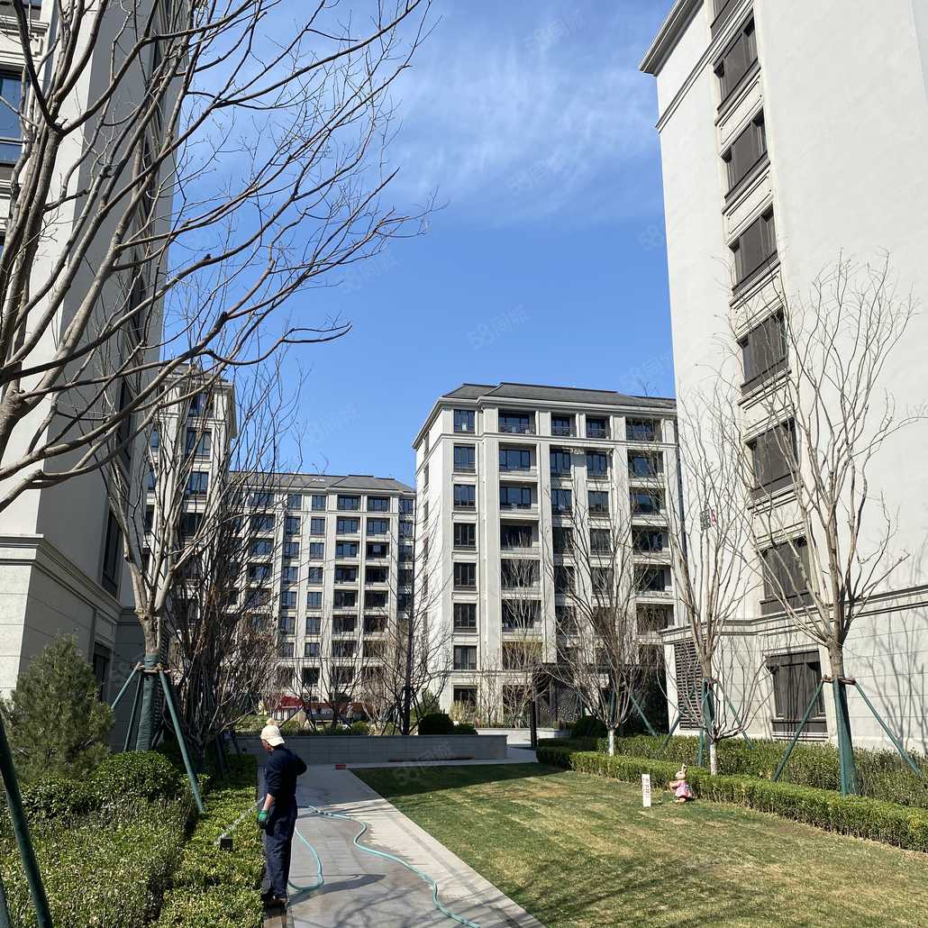 刘志强联系电话_置业顾问销售刘志强发布的绿城西府海棠楼盘动态-58