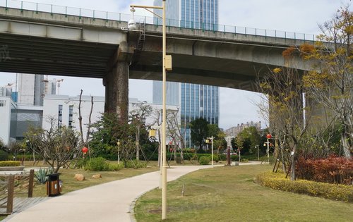 距离项目300米处的月港湿地公园实拍