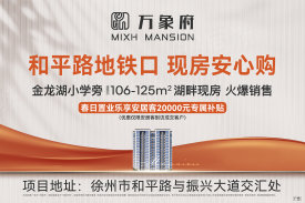 经济开发区金龙湖和平路万象府（现房）楼盘新房真实图片