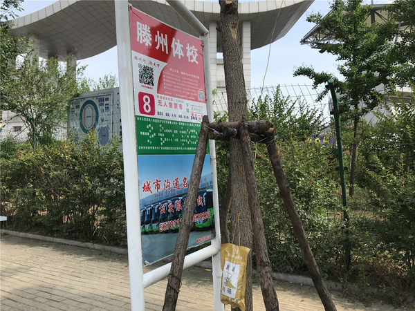 城建善国盛景楼盘周边配套