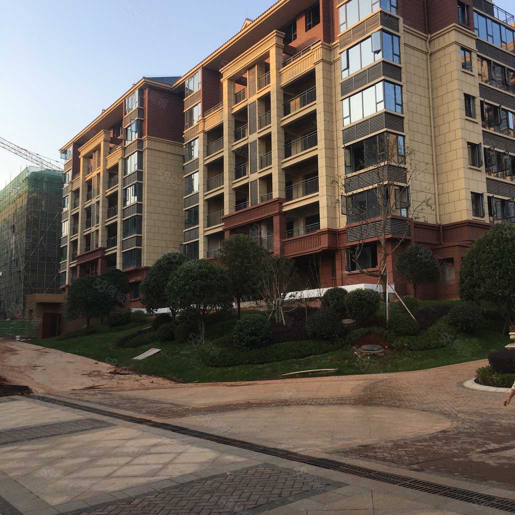 陈俊伟联系电话_置业顾问销售陈俊伟发布的盛世金龙湾楼盘动态-58同城