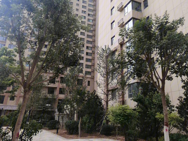 大连国际公馆楼盘现场环境