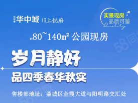 鼎城鼎城福捷·华中城楼盘新房真实图片