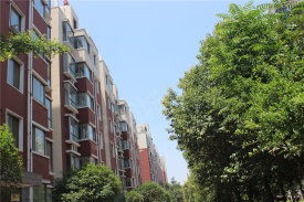 沁园街道沁园街道济水苑楼盘新房真实图片