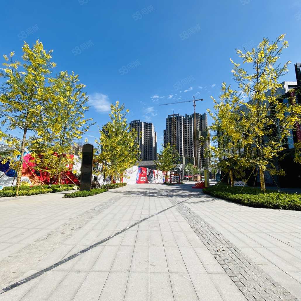 肖瑶联系电话_置业顾问销售肖瑶发布的绿地·遂宁1958文创产业项目