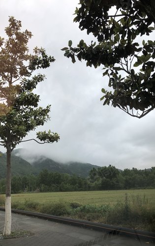 实景现房，生态住宅