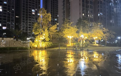 美美的灯光和下雨天更配哦[色]
万汇广场增设了好看的园林灯光
快来打卡吧