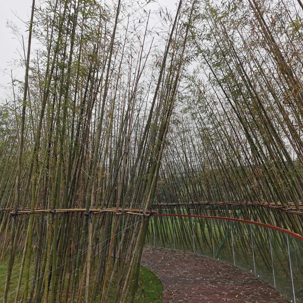 吴炳杰联系电话_置业顾问销售吴炳杰发布的绿地海伦堡