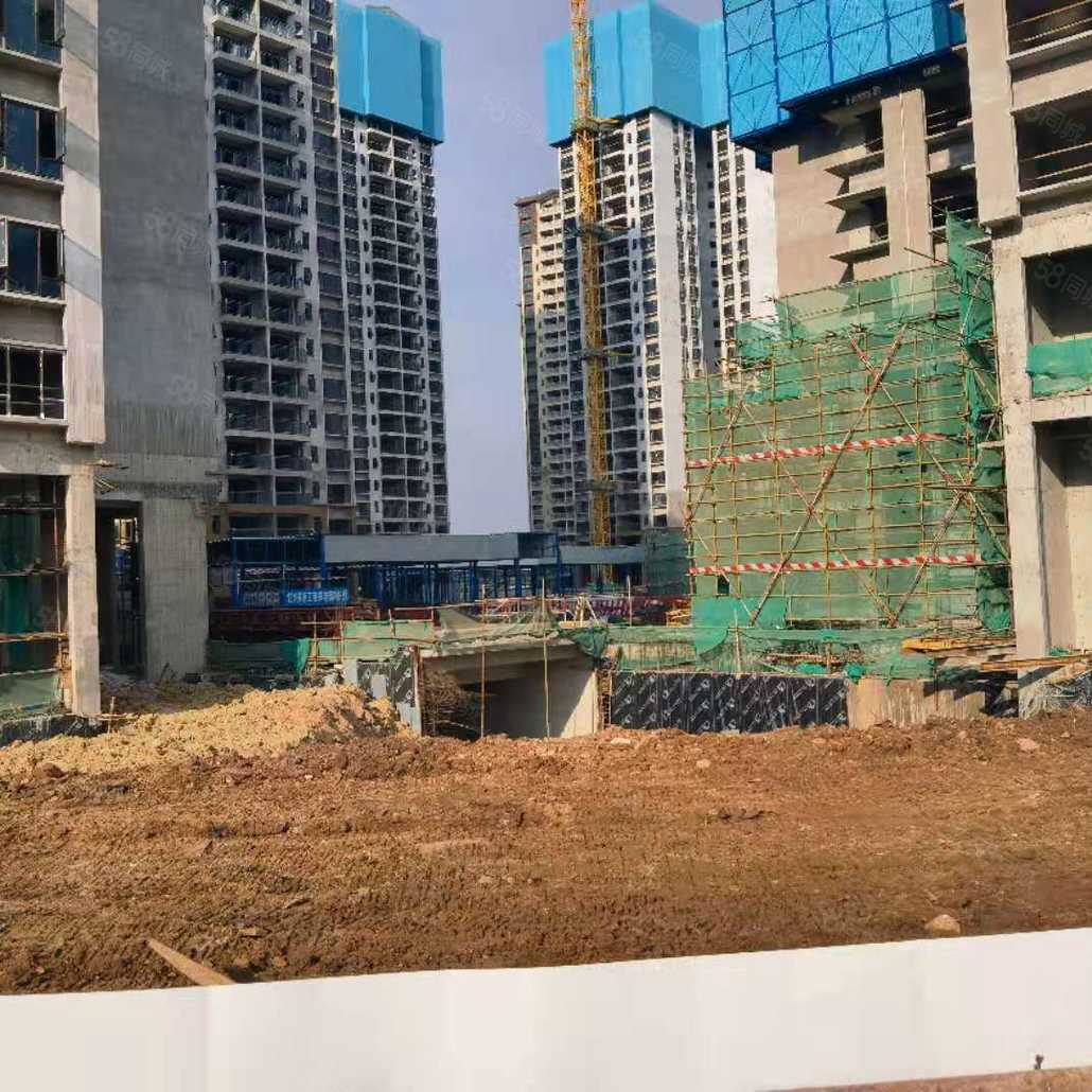 谭秀莲联系电话_置业顾问销售谭秀莲发布的四会碧桂园明珠花园楼盘
