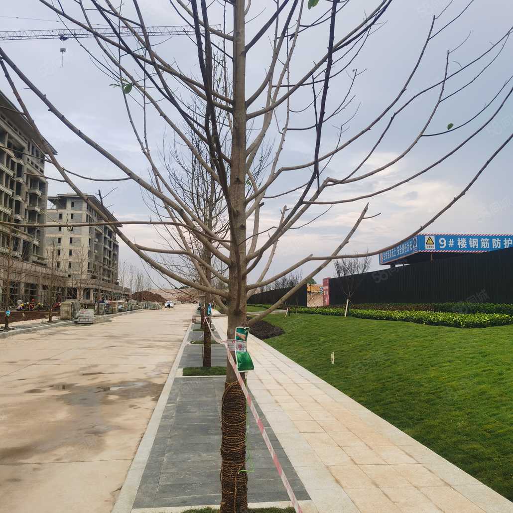 安明康联系电话_置业顾问销售安明康发布的桐达果岭楼盘动态-58同城