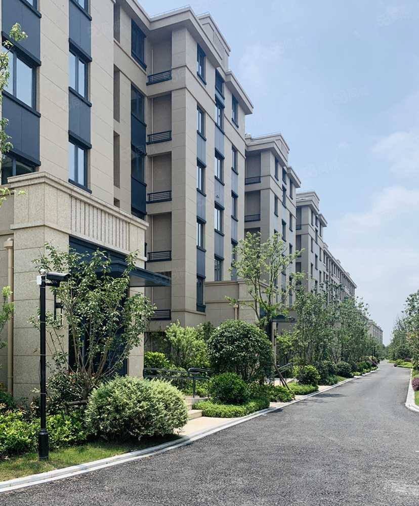 张艳联系电话_置业顾问销售张艳发布的上实滨湖城海上湾鹭居楼盘动态