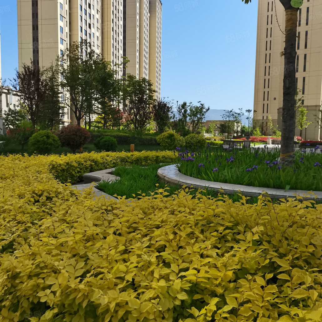 胡珍珍联系电话_置业顾问销售胡珍珍发布的上河郡·澜岸楼盘动态-58