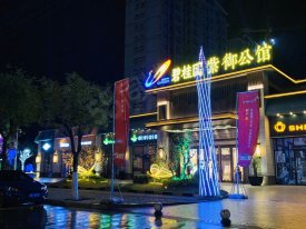 丹凤县丹凤县碧桂园紫御公馆楼盘新房真实图片
