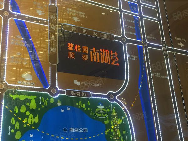 碧桂园南湖荟楼盘区位规划