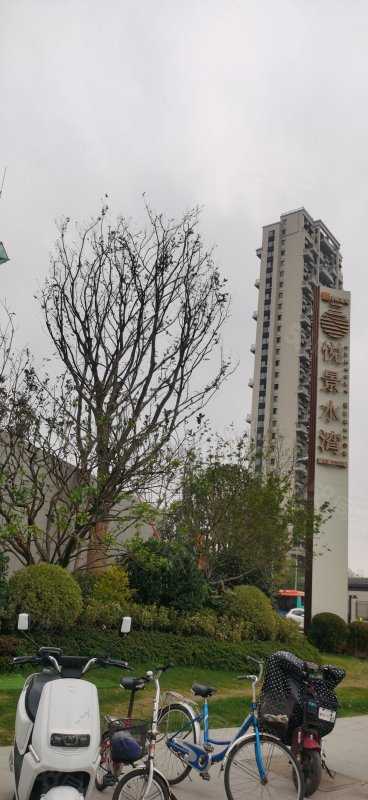 李肖联系电话_置业顾问销售李肖发布的悦景水湾楼盘动态-58同城